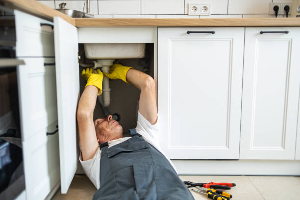 Best Plumbing Services Near Me  in Deerfield, IL